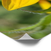 Inspire Joy Sunflower Poster (Hoek)