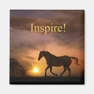Inspire  paarden en zonnemagneet magneet