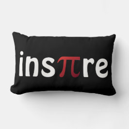 Inspire Wiskunde Pi-dag Wiskundegek Kussen