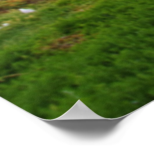 Inspireren Poster (Hoek)