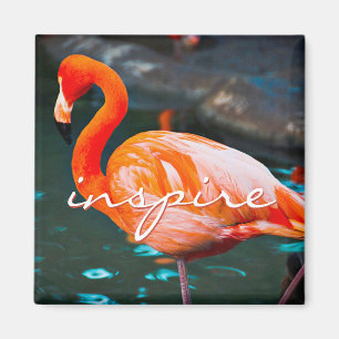 Inspireren Script Roze Flamingo Foto Modern Stijlv Magneet
