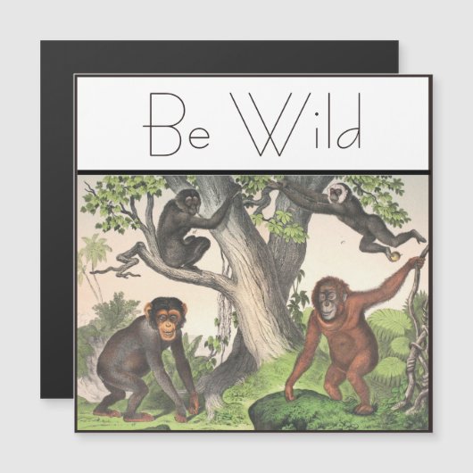 Inspirerend aap Chimpansee  (Voorkant / Achterkant)