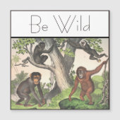 Inspirerend aap Chimpansee  (Voorkant)