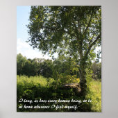 Inspirerend afdruk Birch Tree Poster (Voorkant)