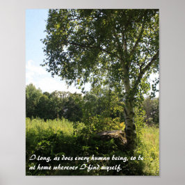 Inspirerend afdruk Birch Tree Poster