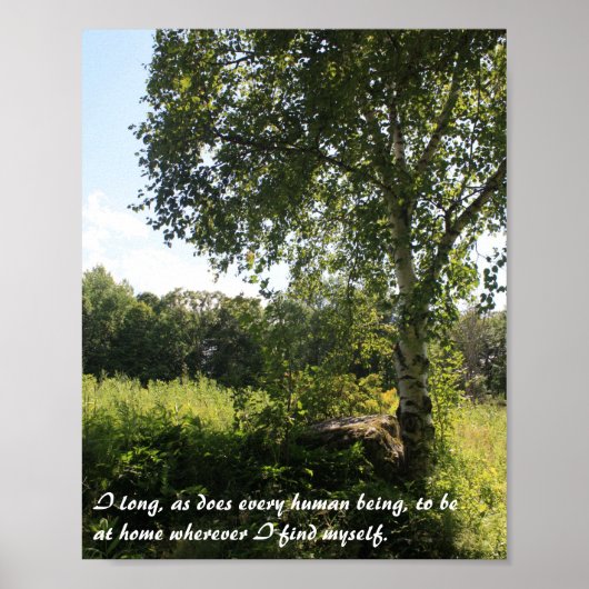 Inspirerend afdruk Birch Tree Poster (Voorkant)