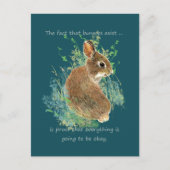 Inspirerend Alles zal oké Bunny Quote zijn Briefkaart (Voorkant)