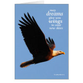 Inspirerend Bald Eagle tijdens de winterzonsonderg (Voorkant)