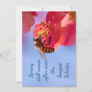 Inspirerend bericht van lente