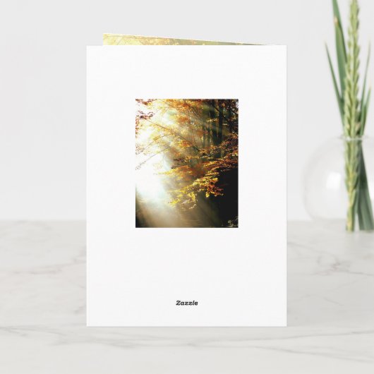 Inspirerend Bijbel Verse John 10 10 valleien Kaart (Achterkant)