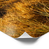 Inspirerend bijbel verse psalm 37:4 perfect poster (Hoek)