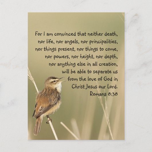Inspirerend Bijbelscriptcitaat Romans 8:38 Briefkaart (Voorkant)