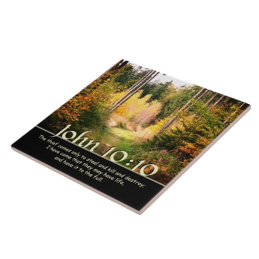 Inspirerend Bijbelvers Johannes 10 10 Herfstpad Tegeltje (Zijkant)