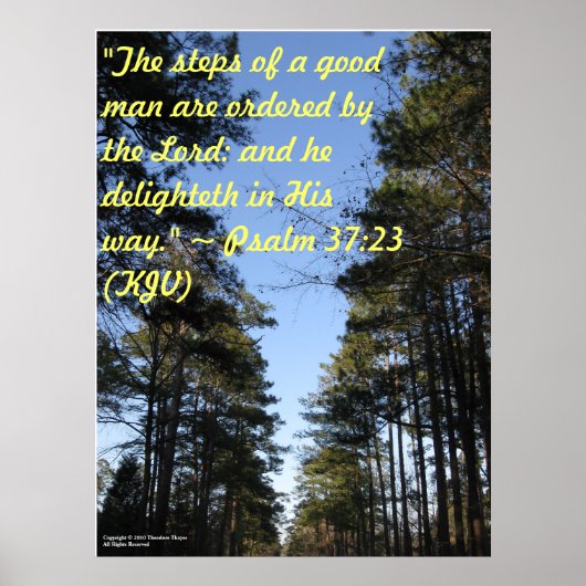 Inspirerend Bijbelvers poster - Psalm 37:23 (Voorkant)