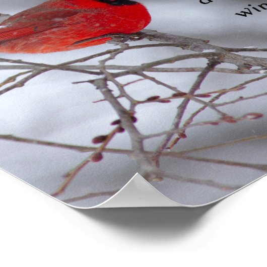 Inspirerend Bijbelversie, psalm 91:4 Poster (Hoek)