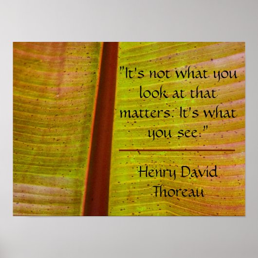 Inspirerend blad poster (Voorkant)