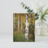 Inspirerend Briefkaart (Staand voorkant)