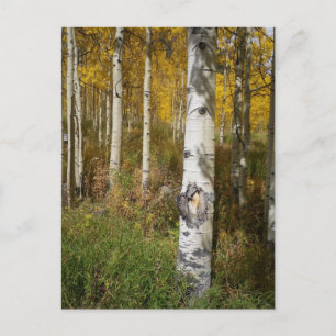 Inspirerend Briefkaart