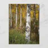 Inspirerend Briefkaart (Voorkant)