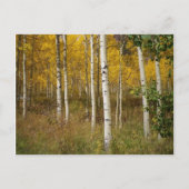 Inspirerend Briefkaart (Voorkant)