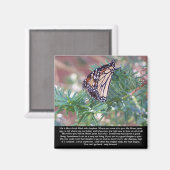 Inspirerend cadeautjes levenswijzigingen magneet (Voorkant / Achterkant)