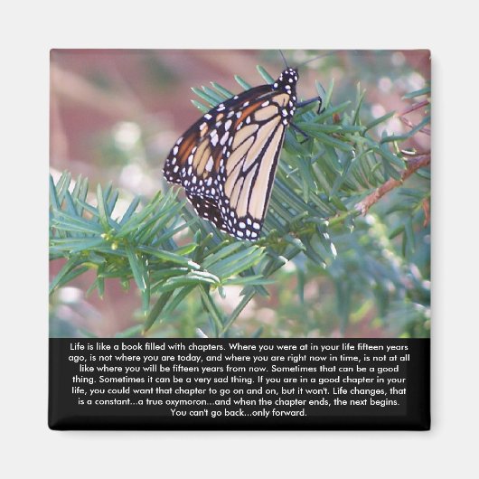 Inspirerend cadeautjes levenswijzigingen magneet (Voorkant)