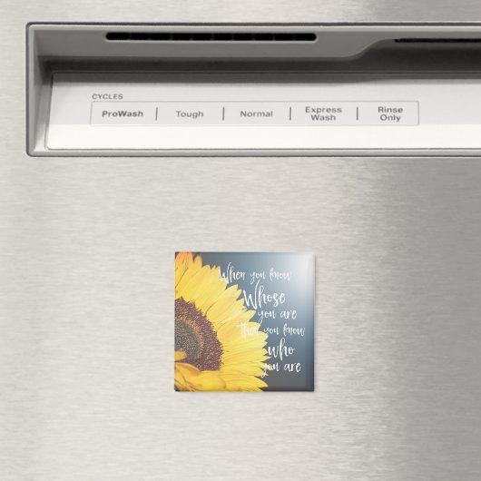 Inspirerend Christelijke offerte; waarvan u bent Magneet (Insitu (Vaatwasser))