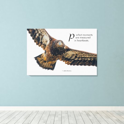 Inspirerend Citaat Bald Eagle in vlucht Canvas Afdruk (Insitu (Houten vloer))