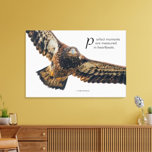 Inspirerend Citaat Bald Eagle in vlucht Canvas Afdruk (Insitu (Woonkamer))
