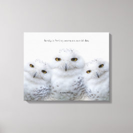 Inspirerend citaat dromen van het Wisdom van Snowy Canvas Afdruk