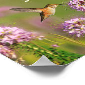 Inspirerend Citaat Hummingbird and Wildflower Poster (Hoek)