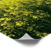 Inspirerend citaat van Eleanor Roosevelt Poster (Hoek)