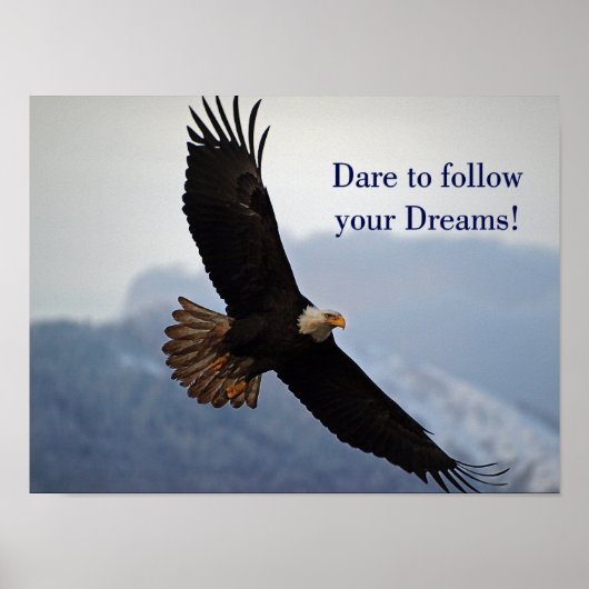 Inspirerend citaat voor opzwellen Bald Eagle Poster (Voorkant)