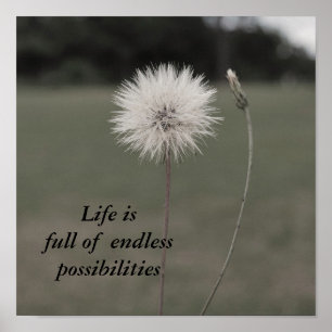 Inspirerend Dandelion - Aangepast... - Gepersonali Poster