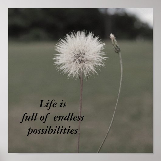 Inspirerend Dandelion - Aangepast.. - Gepersonalis Poster (Voorkant)