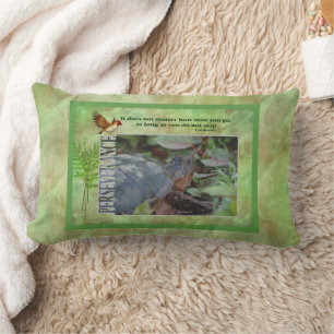 Inspirerend doorzettingssnelheid van schildpad kussen