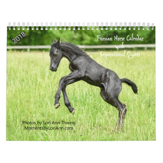 inspirerend-Friesian Horse Agenda 2018 Kalender (Hoes)