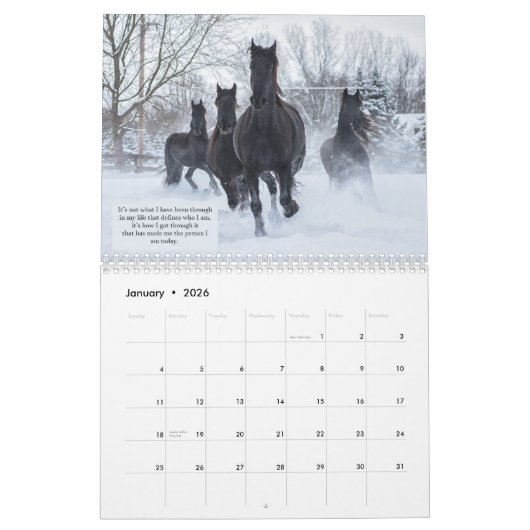 Inspirerend Friesian Horse Calendar Kalender (Jan 2026)