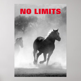 Inspirerend geen limietpaarden Motivatie Poster