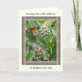 Inspirerend Get Well Card met Monarch Butterfly Kaart
