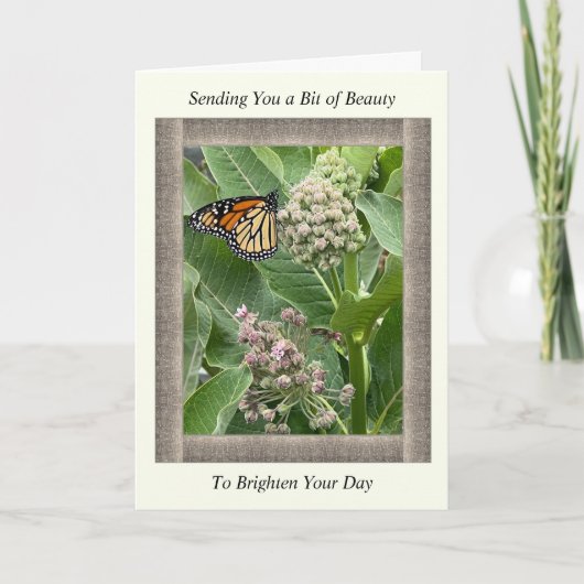 Inspirerend Get Well Card met Monarch Butterfly Kaart (Voorkant)
