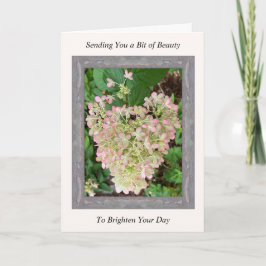 Inspirerend Get Well Card met Roze Hydrangea Kaart