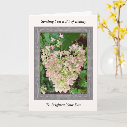 Inspirerend Get Well Card met Roze Hydrangea Kaart (Gele Bloem)