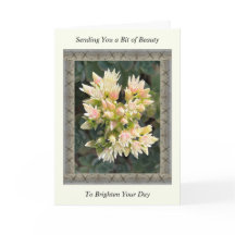 Inspirerend Get Well Card met Succulent Flowers