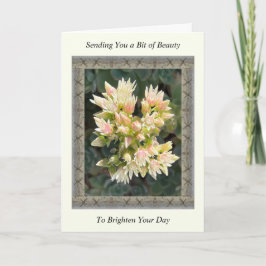 Inspirerend Get Well Card met Succulent Flowers Kaart