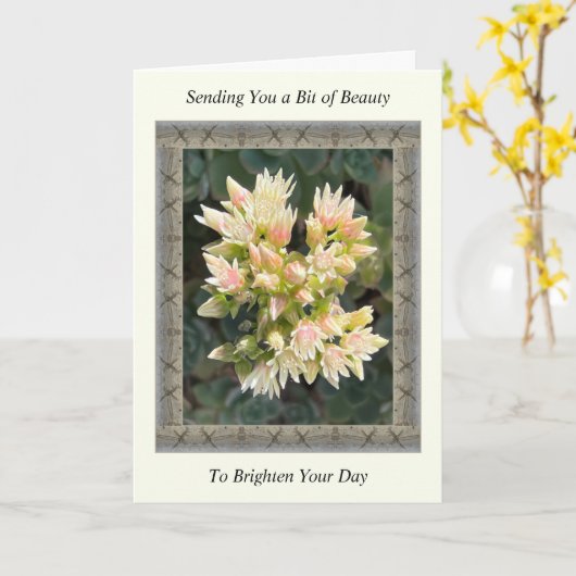 Inspirerend Get Well Card met Succulent Flowers Kaart (Gele Bloem)