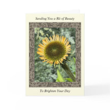Inspirerend Get Well Card met Young Sunflower