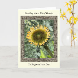 Inspirerend Get Well Card met Young Sunflower Kaart