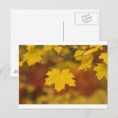 Inspirerend herfst briefkaart (Voorkant / Achterkant)