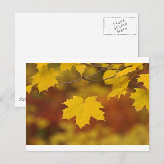 Inspirerend herfst briefkaart (Voorkant / Achterkant)